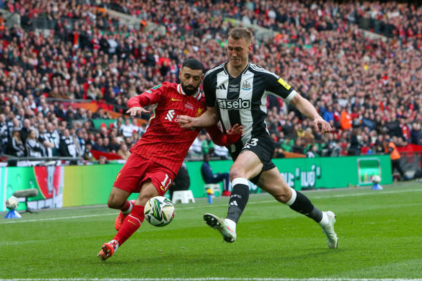 越的培养体 越的培养体