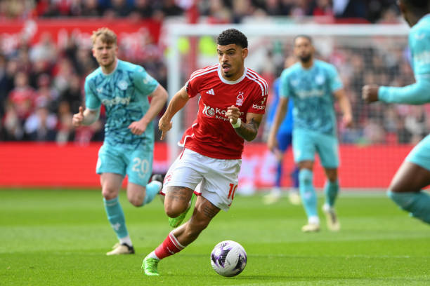 要感谢那些 要感谢那些